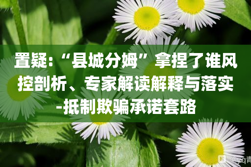 置疑:“縣城分姆”拿捏了誰風(fēng)控剖析、專家解讀解釋與落實-抵制欺騙承諾套路