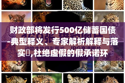 2025年6月 第85頁