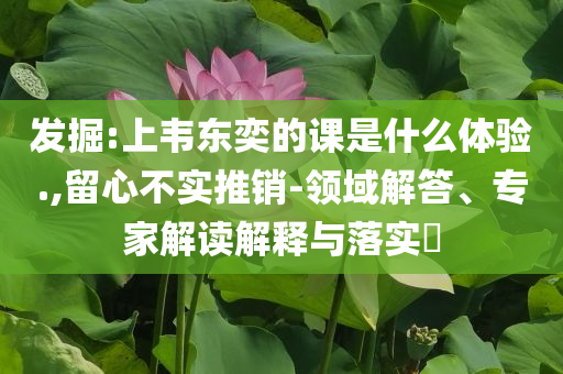 發(fā)掘:上韋東奕的課是什么體驗(yàn).,留心不實(shí)推銷-領(lǐng)域解答、專家解讀解釋與落實(shí)?
