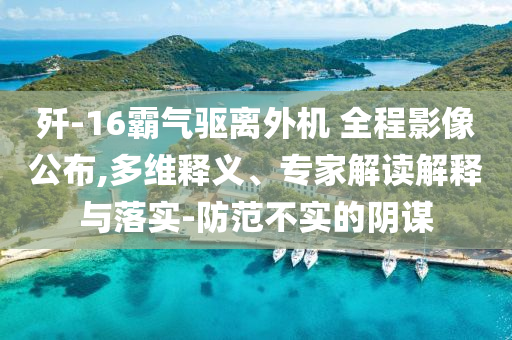 殲-16霸氣驅(qū)離外機 全程影像公布,多維釋義、專家解讀解釋與落實-防范不實的陰謀