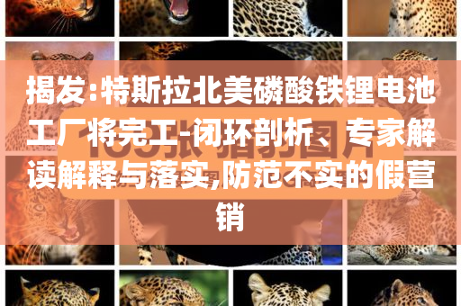 揭發(fā):特斯拉北美磷酸鐵鋰電池工廠將完工-閉環(huán)剖析、專家解讀解釋與落實,防范不實的假營銷