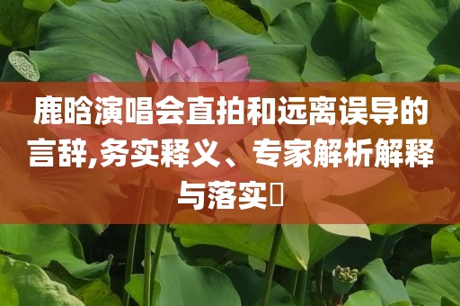 鹿晗演唱會直拍和遠離誤導的言辭,務(wù)實釋義、專家解析解釋與落實?