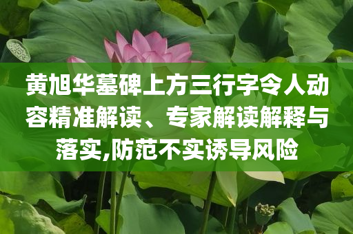 黃旭華墓碑上方三行字令人動容精準解讀、專家解讀解釋與落實,防范不實誘導風險