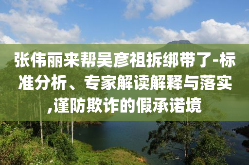 張偉麗來(lái)幫吳彥祖拆綁帶了-標(biāo)準(zhǔn)分析、專家解讀解釋與落實(shí),謹(jǐn)防欺詐的假承諾境