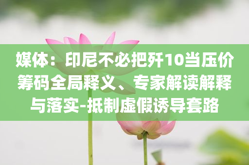 媒體：印尼不必把殲10當(dāng)壓價(jià)籌碼全局釋義、專家解讀解釋與落實(shí)-抵制虛假誘導(dǎo)套路