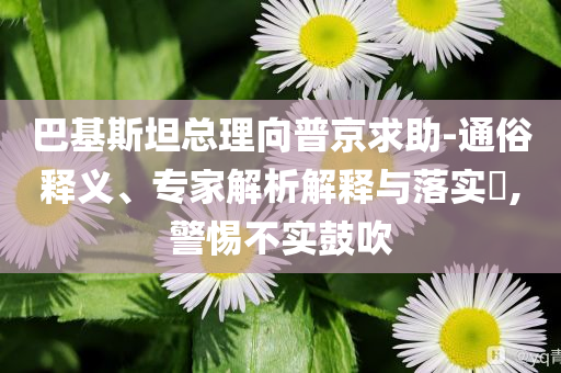 巴基斯坦總理向普京求助-通俗釋義、專(zhuān)家解析解釋與落實(shí)?,警惕不實(shí)鼓吹