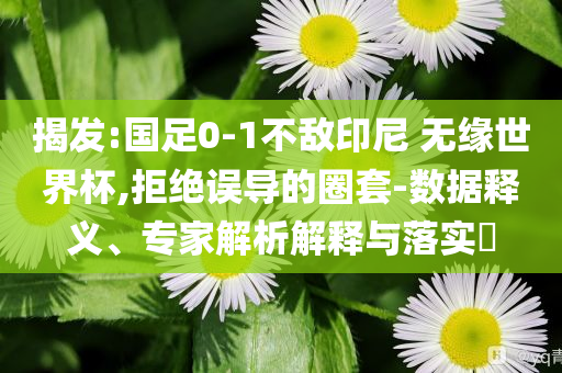 揭發(fā):國(guó)足0-1不敵印尼 無緣世界杯,拒絕誤導(dǎo)的圈套-數(shù)據(jù)釋義、專家解析解釋與落實(shí)?