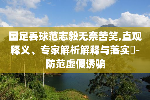 國(guó)足丟球范志毅無奈苦笑,直觀釋義、專家解析解釋與落實(shí)?-防范虛假誘騙