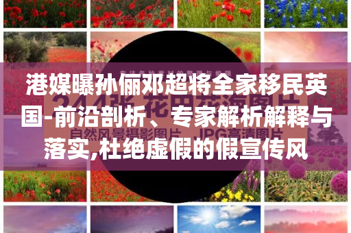 港媒曝孫儷鄧超將全家移民英國-前沿剖析、專家解析解釋與落實,杜絕虛假的假宣傳風