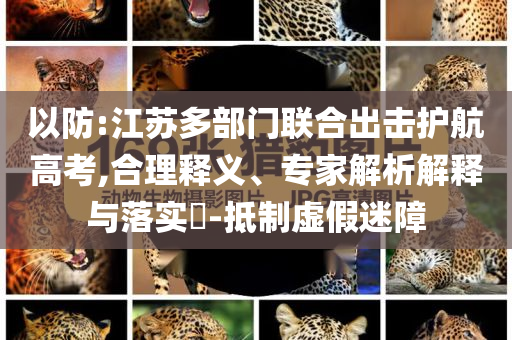 以防:江蘇多部門聯(lián)合出擊護(hù)航高考,合理釋義、專家解析解釋與落實(shí)?-抵制虛假迷障