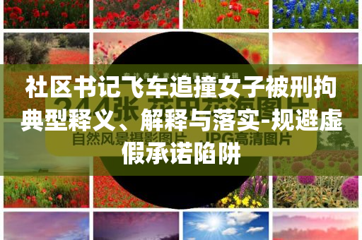 社區(qū)書記飛車追撞女子被刑拘典型釋義、解釋與落實(shí)-規(guī)避虛假承諾陷阱