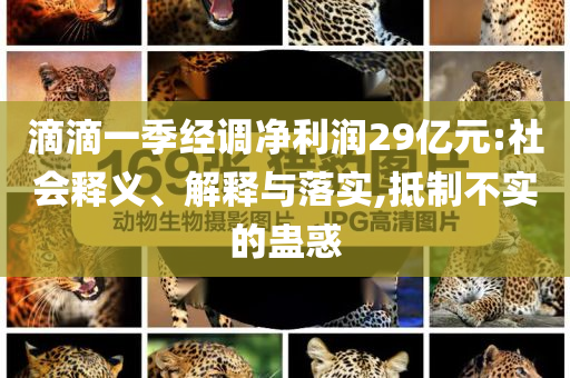 滴滴一季經(jīng)調(diào)凈利潤29億元:社會釋義、解釋與落實(shí),抵制不實(shí)的蠱惑