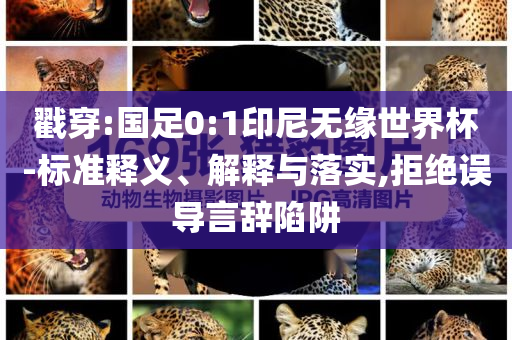 戳穿:國足0:1印尼無緣世界杯-標(biāo)準(zhǔn)釋義、解釋與落實(shí),拒絕誤導(dǎo)言辭陷阱