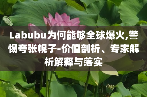Labubu為何能夠全球爆火,警惕夸張幌子-價值剖析、專家解析解釋與落實