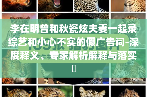 李在明曾和秋瓷炫夫妻一起錄綜藝和小心不實(shí)的假?gòu)V告詞-深度釋義、專家解析解釋與落實(shí)?