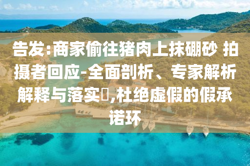 告發(fā):商家偷往豬肉上抹硼砂 拍攝者回應(yīng)-全面剖析、專家解析解釋與落實(shí)?,杜絕虛假的假承諾環(huán)