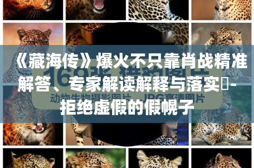 《藏海傳》爆火不只靠肖戰(zhàn)精準解答、專家解讀解釋與落實?-拒絕虛假的假幌子