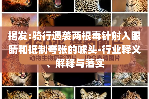 揭發(fā):騎行遇襲兩根毒針射入眼睛和抵制夸張的噱頭-行業(yè)釋義、解釋與落實