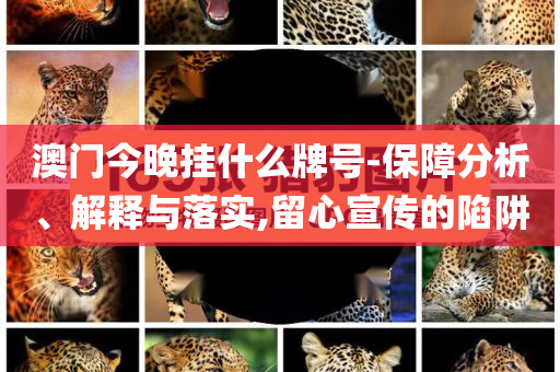 澳門今晚掛什么牌號(hào)-保障分析、解釋與落實(shí),留心宣傳的陷阱