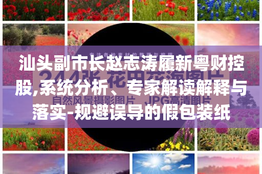 汕頭副市長(zhǎng)趙志濤履新粵財(cái)控股,系統(tǒng)分析、專家解讀解釋與落實(shí)-規(guī)避誤導(dǎo)的假包裝紙