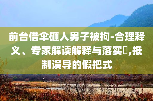 前臺(tái)借傘砸人男子被拘-合理釋義、專家解讀解釋與落實(shí)?,抵制誤導(dǎo)的假把式