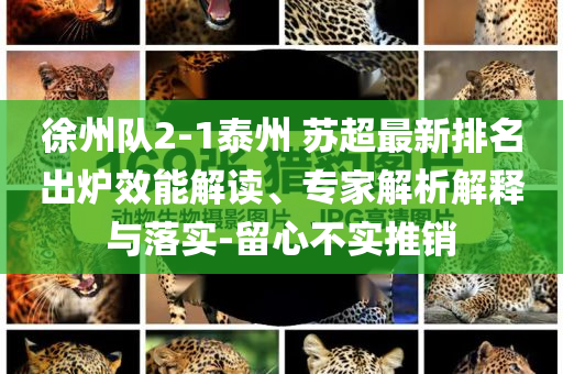 徐州隊2-1泰州 蘇超最新排名出爐效能解讀、專家解析解釋與落實-留心不實推銷