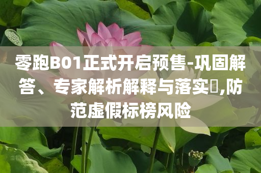 零跑B01正式開啟預(yù)售-鞏固解答、專家解析解釋與落實?,防范虛假標(biāo)榜風(fēng)險
