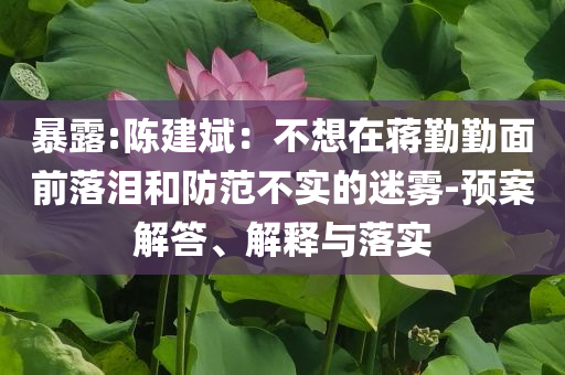 暴露:陳建斌：不想在蔣勤勤面前落淚和防范不實(shí)的迷霧-預(yù)案解答、解釋與落實(shí)