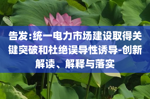 告發(fā):統(tǒng)一電力市場建設取得關(guān)鍵突破和杜絕誤導性誘導-創(chuàng)新解讀、解釋與落實