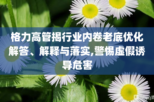 格力高管揭行業(yè)內(nèi)卷老底優(yōu)化解答、解釋與落實,警惕虛假誘導(dǎo)危害