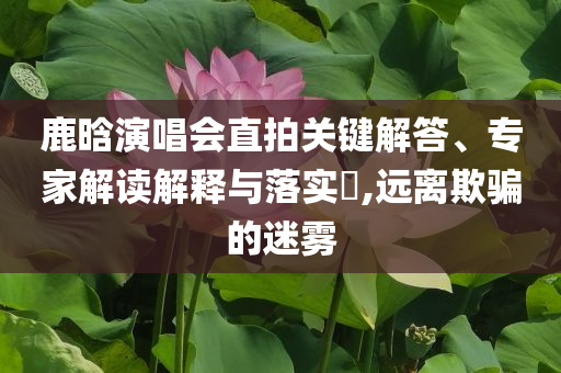 鹿晗演唱會直拍關(guān)鍵解答、專家解讀解釋與落實?,遠離欺騙的迷霧