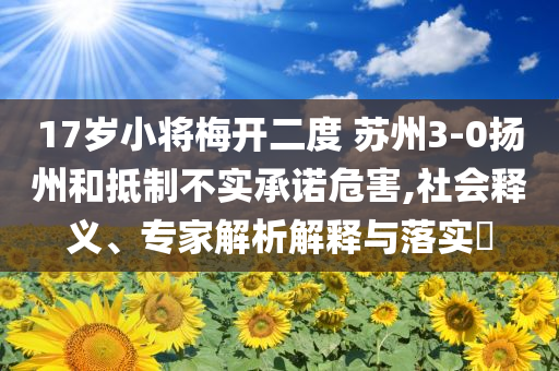 17歲小將梅開二度 蘇州3-0揚州和抵制不實承諾危害,社會釋義、專家解析解釋與落實?