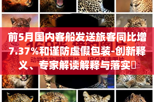 前5月國內(nèi)客船發(fā)送旅客同比增7.37%和謹防虛假包裝-創(chuàng)新釋義、專家解讀解釋與落實?