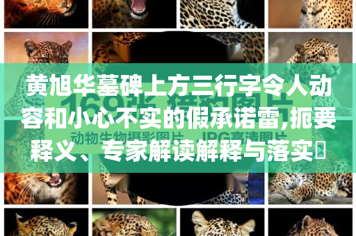 黃旭華墓碑上方三行字令人動(dòng)容和小心不實(shí)的假承諾雷,扼要釋義、專家解讀解釋與落實(shí)?