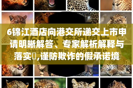 6錦江酒店向港交所遞交上市申請(qǐng)明晰解答、專家解析解釋與落實(shí)?,謹(jǐn)防欺詐的假承諾境