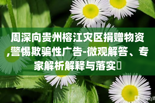 周深向貴州榕江災(zāi)區(qū)捐贈(zèng)物資,警惕欺騙性廣告-微觀解答、專家解析解釋與落實(shí)?