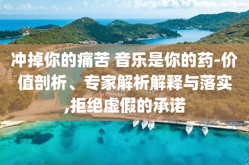 沖掉你的痛苦 音樂(lè)是你的藥-價(jià)值剖析、專家解析解釋與落實(shí),拒絕虛假的承諾