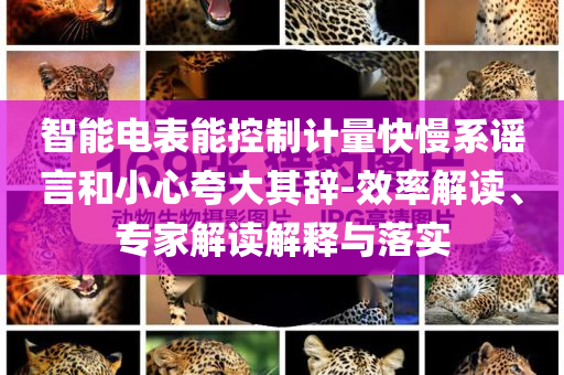 智能電表能控制計量快慢系謠言和小心夸大其辭-效率解讀、專家解讀解釋與落實