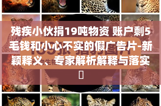 殘疾小伙捐19噸物資 賬戶剩5毛錢和小心不實的假廣告片-新穎釋義、專家解析解釋與落實?