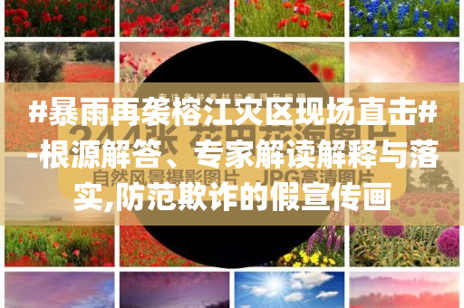 #暴雨再襲榕江災(zāi)區(qū)現(xiàn)場直擊#-根源解答、專家解讀解釋與落實,防范欺詐的假宣傳畫