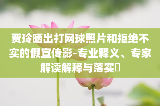 賈玲曬出打網(wǎng)球照片和拒絕不實的假宣傳影-專業(yè)釋義、專家解讀解釋與落實?