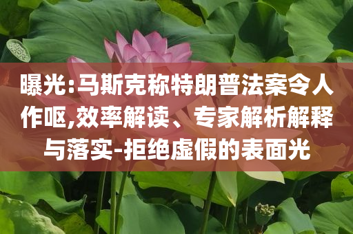 曝光:馬斯克稱特朗普法案令人作嘔,效率解讀、專家解析解釋與落實(shí)-拒絕虛假的表面光