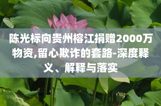 陳光標(biāo)向貴州榕江捐贈2000萬物資,留心欺詐的套路-深度釋義、解釋與落實(shí)