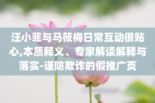 汪小菲與馬筱梅日?；雍苜N心,本質(zhì)釋義、專家解讀解釋與落實-謹防欺詐的假推廣頁