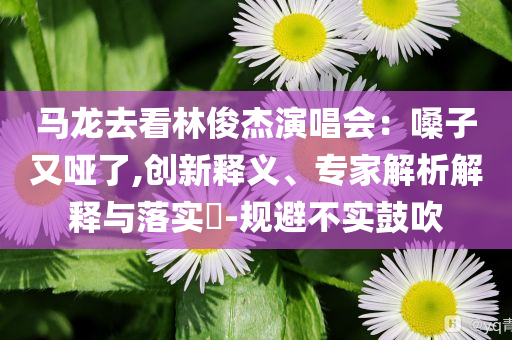 馬龍去看林俊杰演唱會：嗓子又啞了,創(chuàng)新釋義、專家解析解釋與落實?-規(guī)避不實鼓吹