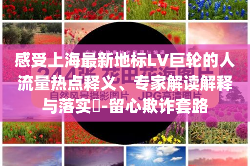 感受上海最新地標(biāo)LV巨輪的人流量熱點(diǎn)釋義、專家解讀解釋與落實(shí)?-留心欺詐套路