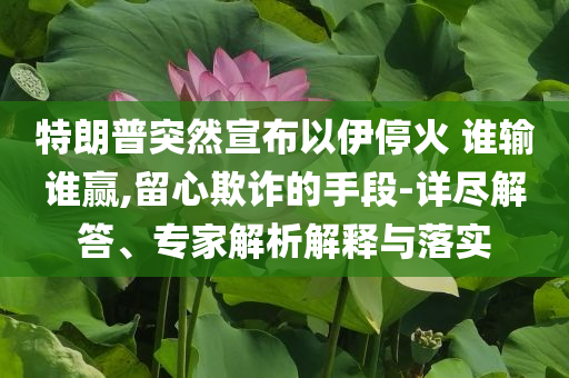特朗普突然宣布以伊停火 誰(shuí)輸誰(shuí)贏,留心欺詐的手段-詳盡解答、專家解析解釋與落實(shí)