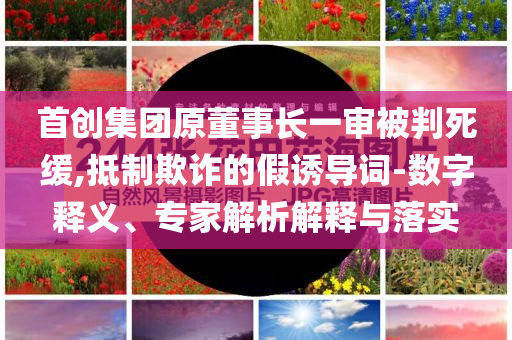 首創(chuàng)集團原董事長一審被判死緩,抵制欺詐的假誘導詞-數字釋義、專家解析解釋與落實