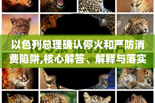 以色列總理確認(rèn)停火和嚴(yán)防消費(fèi)陷阱,核心解答、解釋與落實(shí)
