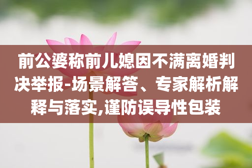 前公婆稱前兒媳因不滿離婚判決舉報-場景解答、專家解析解釋與落實,謹防誤導性包裝